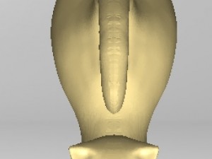 cat yoga 3D Druckmodell