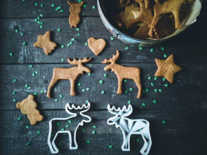moose ans home - 2 pcs 3D Print Model