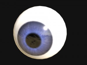 eye with 7 color texture set 3D Model