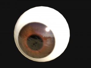 eye with 7 color texture set 3D Model
