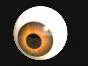 eye with 7 color texture set 3D Model