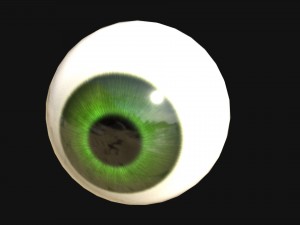 eye with 7 color texture set 3D Model