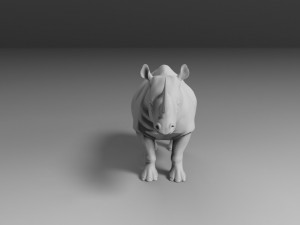 rhinoceros 3D Model