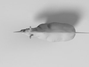 rhinoceros 3D Model