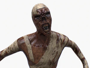 mummy rigged pbr 3D Model