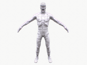 mummy rigged pbr 3D 模型