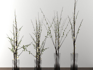 decorative plants 3D-Modell