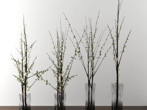 plantas decorativas Modelo 3D