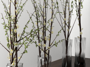 decorative plants Modelo 3D
