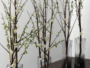 plantas decorativas Modelo 3D