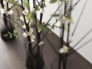 decorative plants Modelo 3D