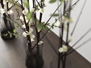 plantas decorativas Modelo 3D