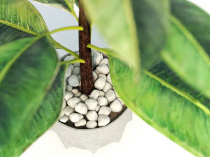 green plant in pot 3D Model