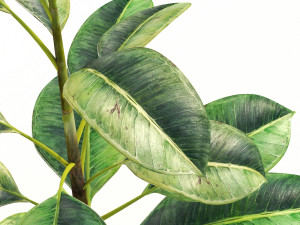 green plant in pot Modelo 3D