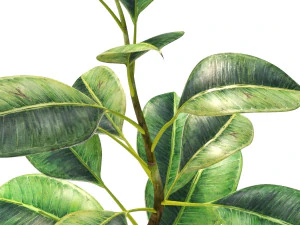 green plant in pot 3D Model
