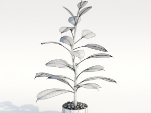 green plant in pot Modelo 3D