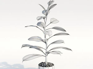 green plant in pot 3D Model