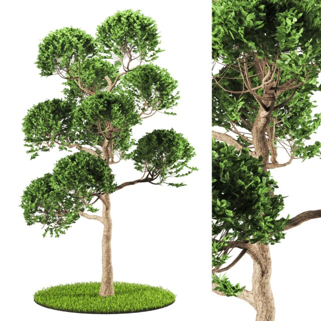 tree 119-1 3D Model .c4d .max .obj .3ds .fbx .stl .blend