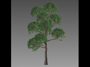 tree 119-1 Modèle 3D