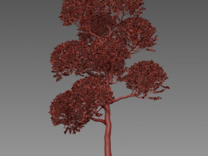 tree 119-1 Modèle 3D