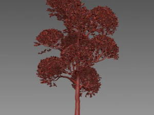 tree 119-1 3D Model