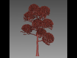 tree 119-1 Modèle 3D