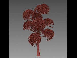 tree 119-1 Modèle 3D