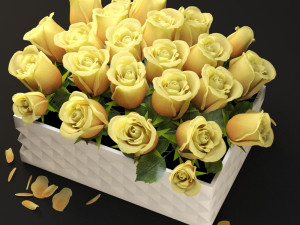 yellow flowerbox 3D 模型