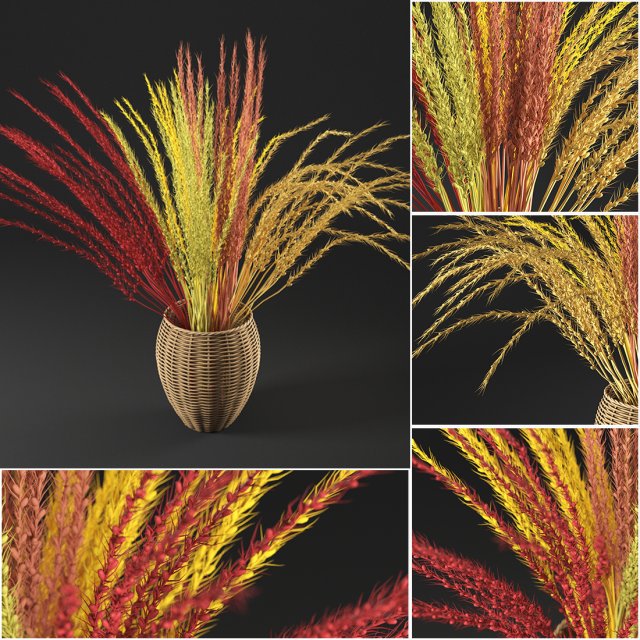 dry decorative plant 3D Model .c4d .max .obj .3ds .fbx .stl .blend 
