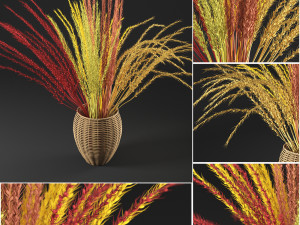 dry decorative plant Modello 3D