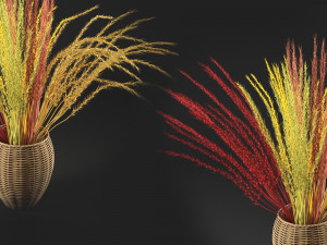 dry decorative plant 3D Model