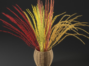 dry decorative plant 3D Model