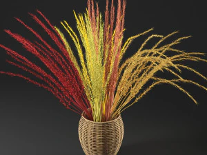 dry decorative plant 3D Model