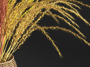 dry decorative plant 3D Model