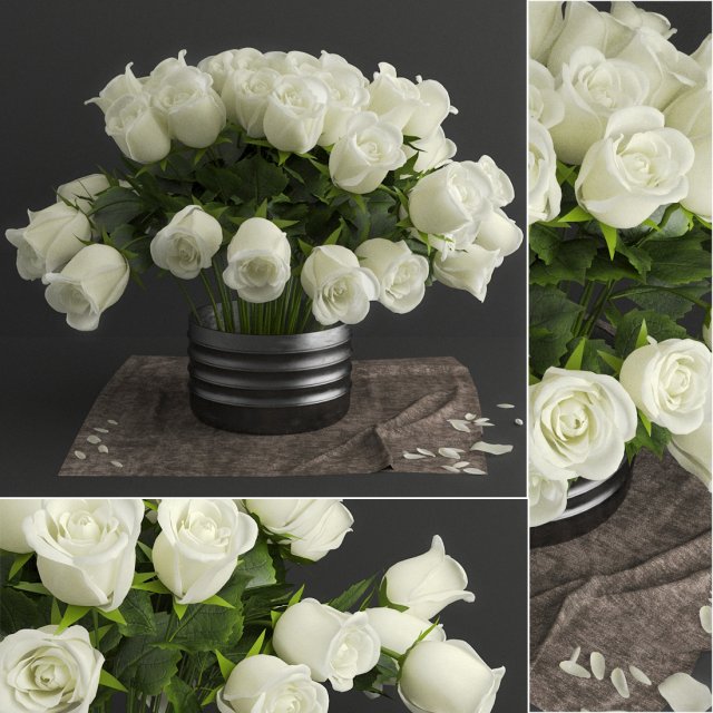 white rose Modello 3D .c4d .max .obj .3ds .fbx .stl .blend 