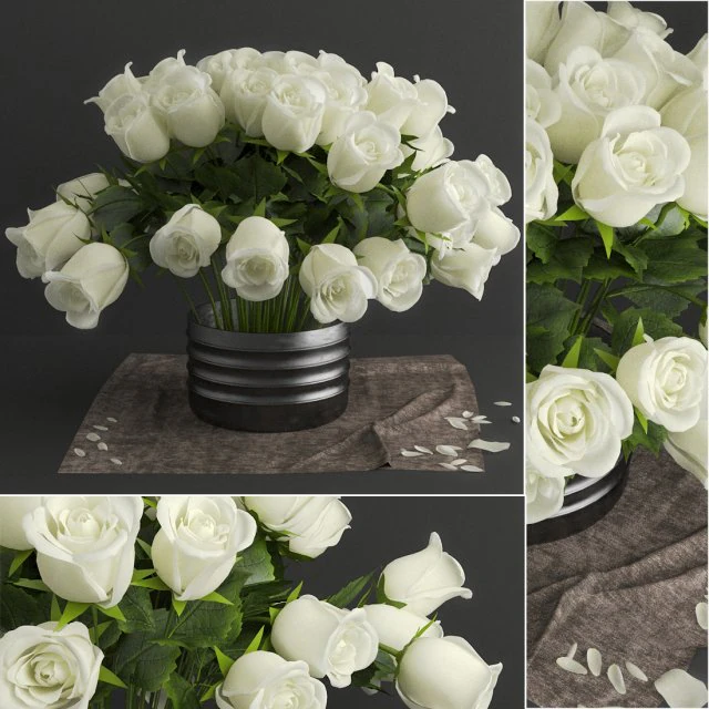 white rose 3D Model .c4d .max .obj .3ds .fbx .stl .blend 