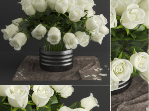 white rose 3D 모델