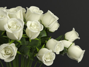 white rose Modello 3D