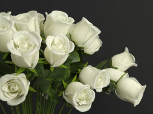 white rose 3D Model