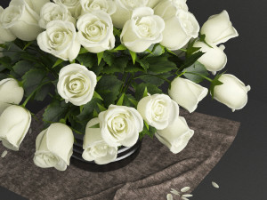 white rose Modello 3D