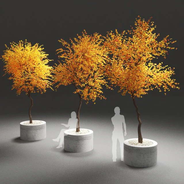 autumn trees 3D Model .c4d .max .obj .3ds .fbx .stl .blend