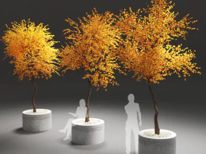 árboles de otoño Modelo 3D