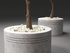 autumn trees Modello 3D