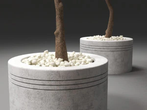 autumn trees 3D Model