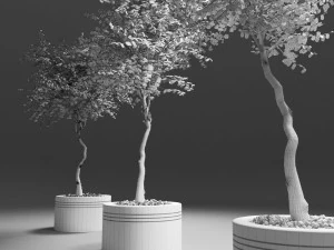 autumn trees 3D Model