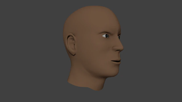 human male head 3D Model .c4d .max .obj .3ds .fbx .stl .blend 