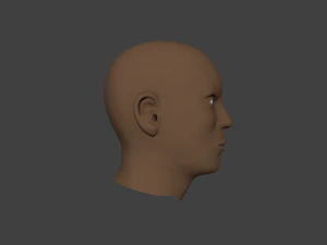 human male head 3D Model