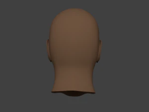 human male head 3D Model