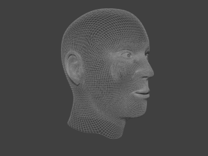 human male head 3D मॉडल