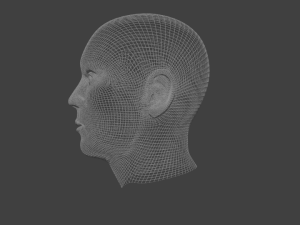 human male head 3D मॉडल